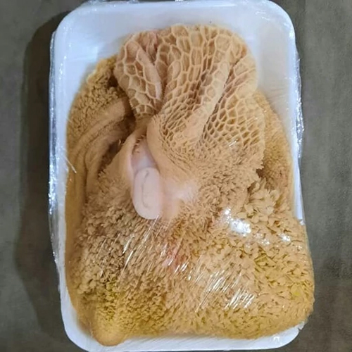 فرق سیرابی گوساله و گوسفندی
