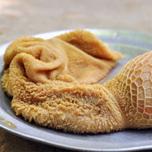 نکات مهم در خرید سیرابی 