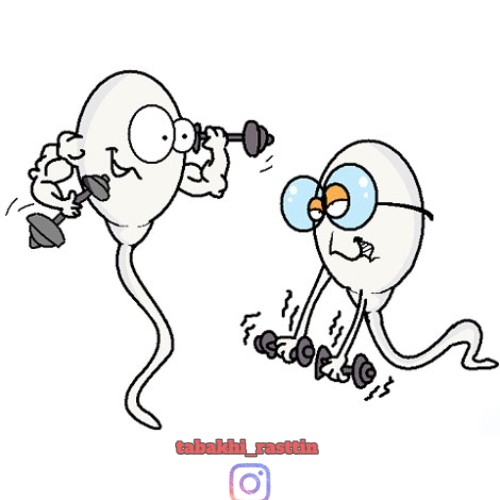 خواص کله پاچه برای اسپرم